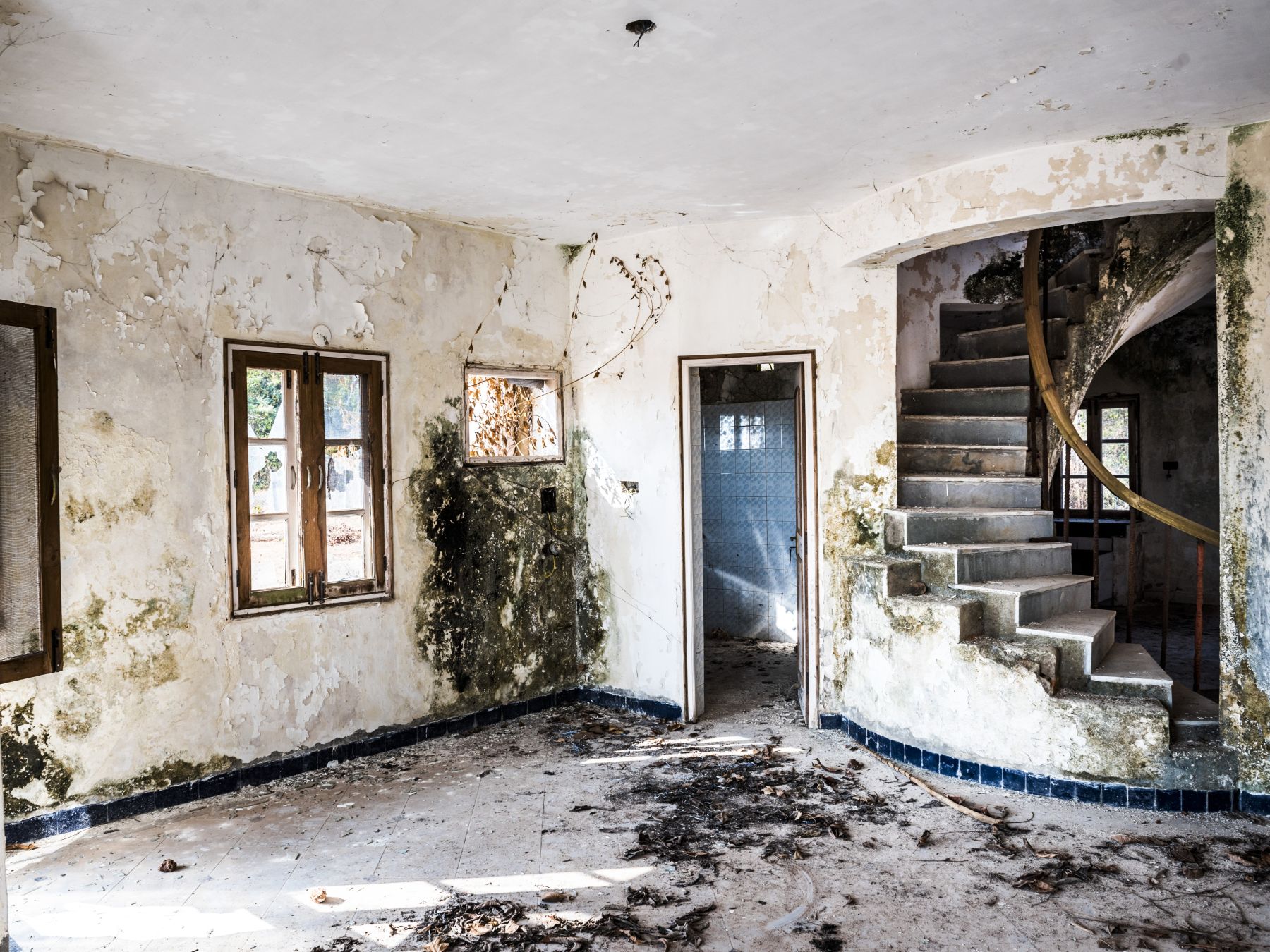 Schimmelbefall Wohnung